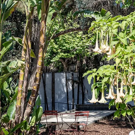Seaside Paradise With A Private Pool And Walking Distance To The