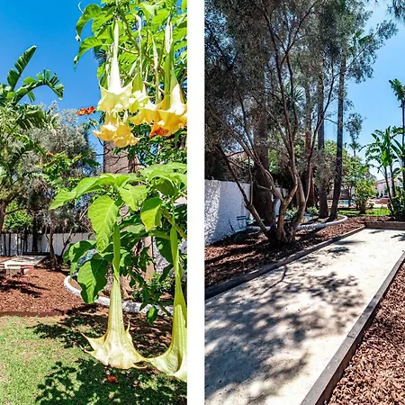 Seaside Paradise With A Private Pool And Walking Distance To The Villa